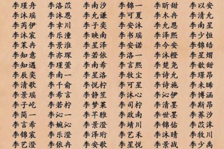起名字锦：专家教你取名字，成功从名字开始