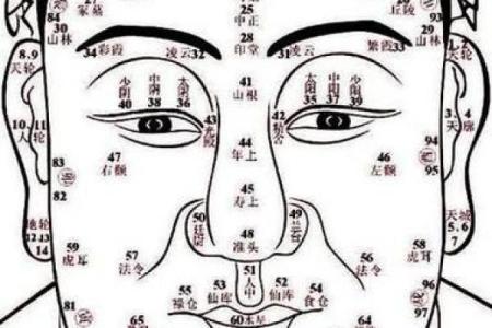 看痣识人，女性面相痣图解大全解析
