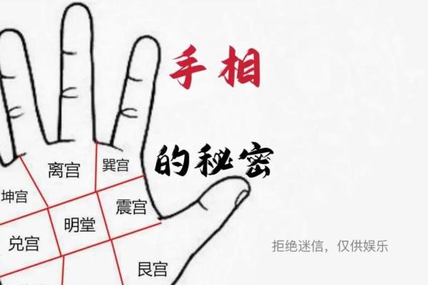 揭秘手相看命运,真的准吗?揭秘神秘手相学 揭秘手相看命运,真的准吗?揭秘神秘手相学