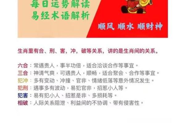 生肖悔悟录：揭秘十二生肖的悔与成长