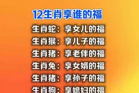 生肖悔悟录：揭秘十二生肖的悔与成长