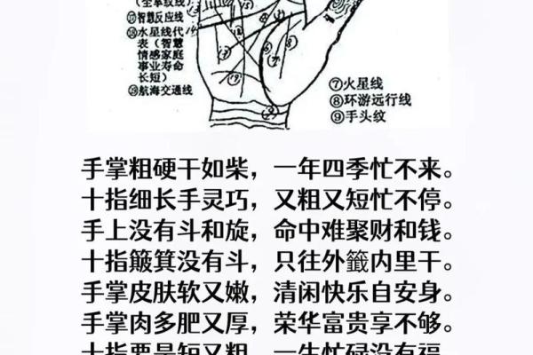 手相揭秘：看手相算命，竟然这么准