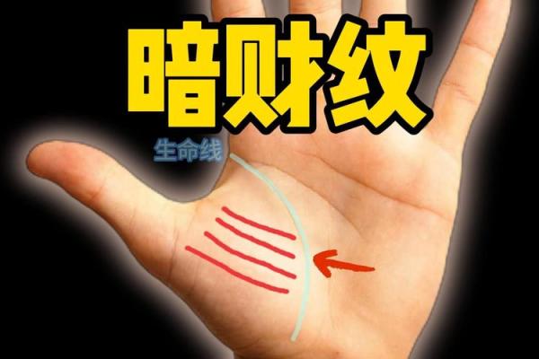 手相识金：揭秘财运密码，解锁你的财富人生