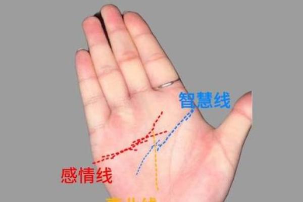 手相识金：揭秘财运密码，解锁你的财富人生