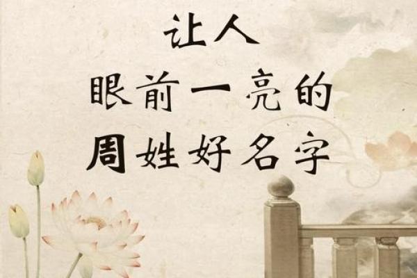 周姓男孩起名秘诀:传承与创新并重 周姓男孩起名秘诀:传承与创新并重