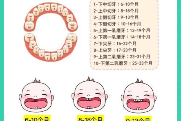 宝宝掉牙不慌家居风水布局助宝宝牙齿健康成长 宝宝掉牙不慌家居风水布局助宝宝牙齿健康成长