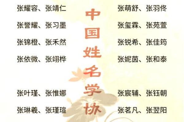 张姓女孩起名指南:选择寓意深远的独特名字 张姓女孩起名指南:选择寓意深远的独特名字