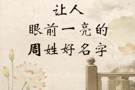 周姓男孩起名秘诀：传承与创新并重