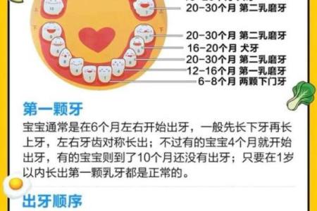 宝宝掉牙不慌家居风水布局助宝宝牙齿健康成长