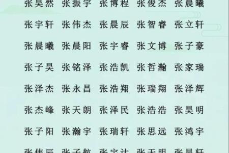 张姓女孩起名指南：选择寓意深远的独特名字