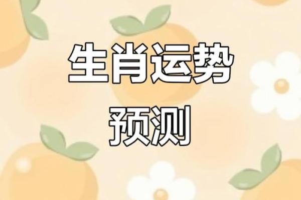 十二生肖齐聚,揭秘2024年运势大揭秘 十二生肖齐聚,揭秘2024年运势大揭秘