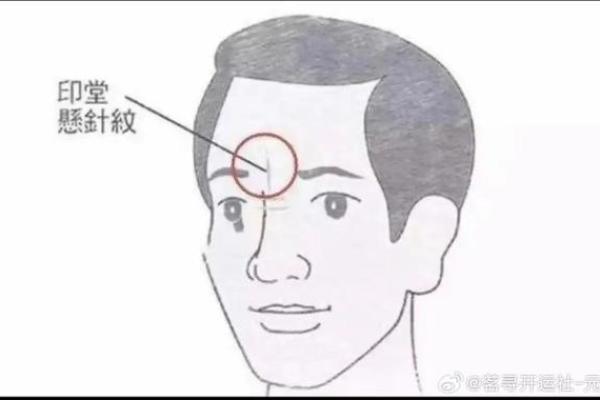 揭秘元辰面相:掌握命运密码,轻松看透人心 揭秘元辰面相:掌握命运密码,轻松看透人心