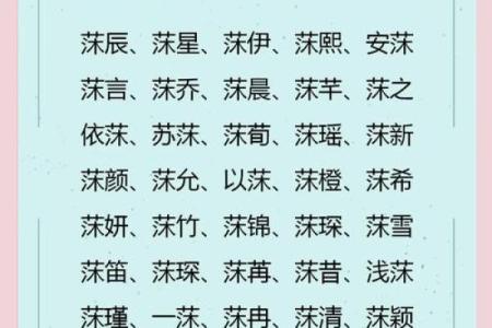 易林起名，助你轻松选择最吉利的名字