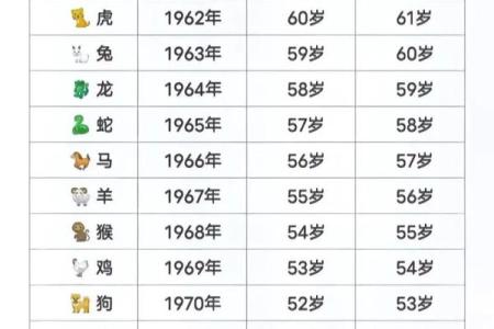 十二生肖年表：揭秘生肖运势，揭秘你的幸运密码