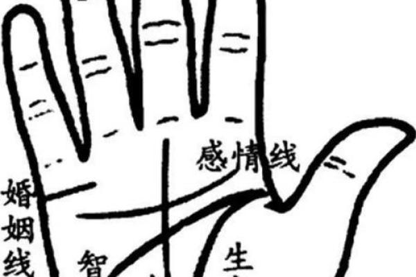 手相揭秘：揭秘一个孩子背后的命运密码