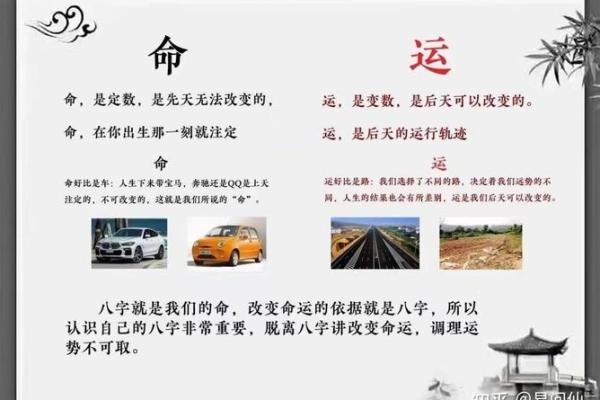命理搭配与生活：如何让运势为你所用？