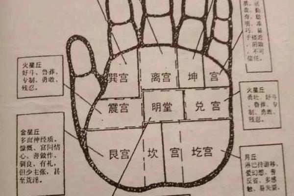 如何通过天干掌上改变命运？答案就在这里