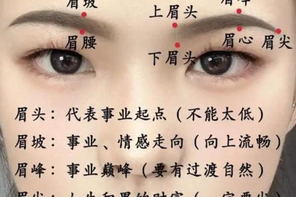 眉毛深浅揭秘:面相密码中的财富与命运 眉毛深浅揭秘:面相密码中的财富与命运