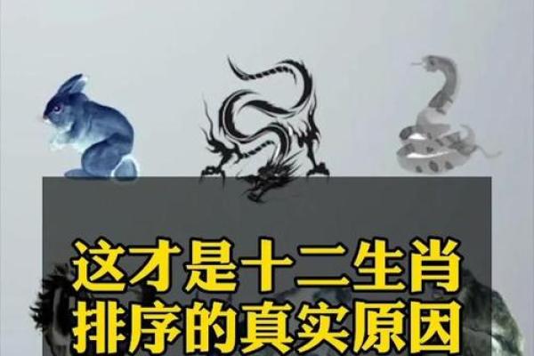 揭秘生肖背后的神秘力量:你的生肖藏着什么秘密? 揭秘生肖背后的神秘力量:你的生肖藏着什么秘密?