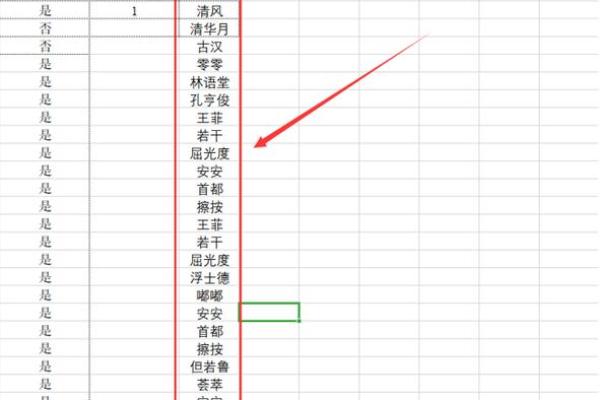 企业命名中使用人名的风险与机会
