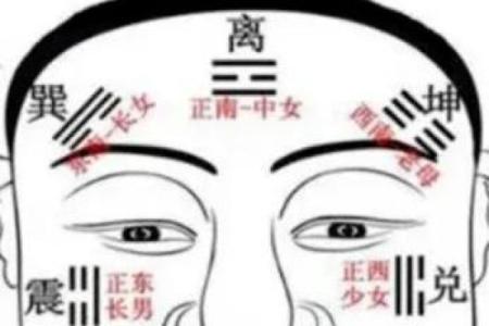 面相揭秘：揭秘山林位置与运势的神秘联系