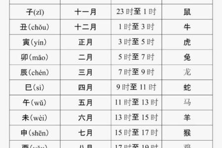 日天干查询步骤全解析