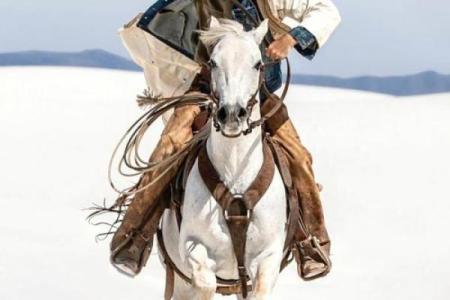 穿越加拿大西部草原，探秘卡尔加里牛仔节的民俗魅力