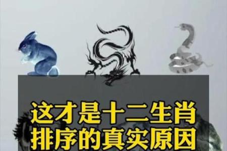 揭秘生肖背后的神秘力量：你的生肖藏着什么秘密？