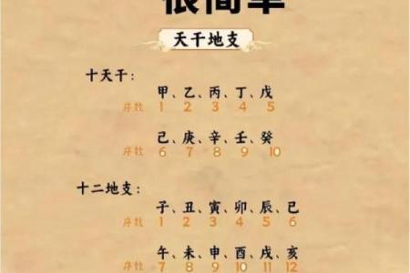 探索周易智慧，轻松找到公司名字的最佳选择