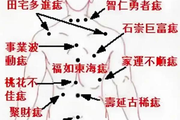 男人痣相大全:全身痣相预示着什么? 男人痣相大全:全身痣相预示着什么?