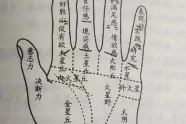 手相解读:揭秘从左至右看手相的神秘奥秘 手相解读:揭秘从左至右看手相的神秘奥秘