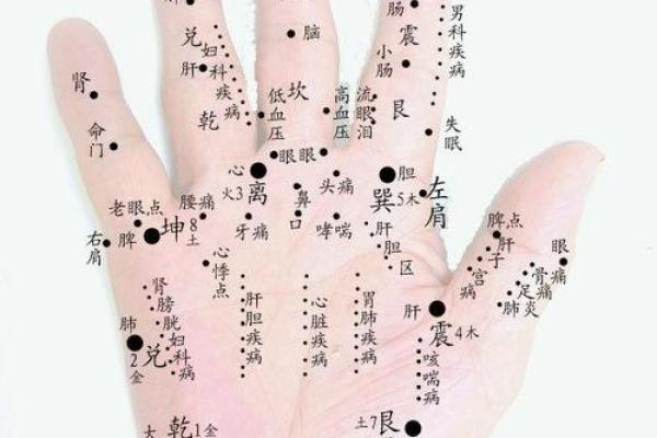 手相解读:揭秘从左至右看手相的神秘奥秘 手相解读:揭秘从左至右看手相的神秘奥秘