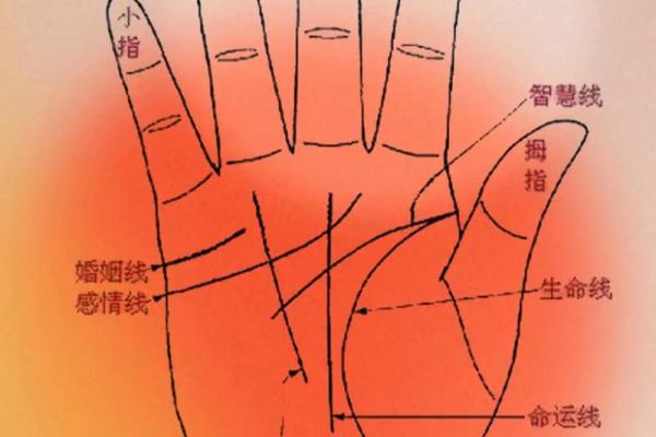 手相算命揭秘：真的准吗？揭秘神秘手相学的秘密