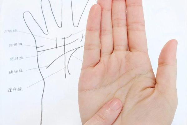 手相算命揭秘：真的准吗？揭秘神秘手相学的秘密