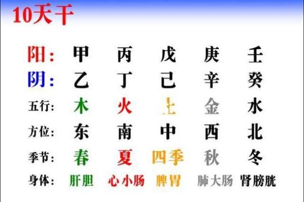 天干的起源与发展历程