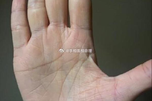 手相很乱，揭秘隐藏的运势危机