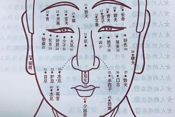 面相解码：揭秘面部五官中的财富运势