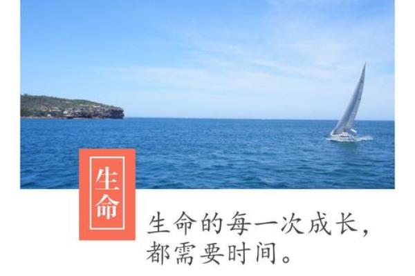 北京起名字公司,开启孩子人生的第一道幸运门 北京起名字公司,开启孩子人生的第一道幸运门