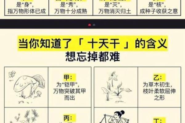 快速记住天干顺序的必备口诀