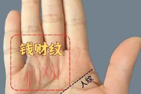 揭秘手相：揭秘哪一年财运亨通，让你财运滚滚来