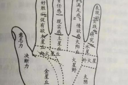 手相解读：揭秘从左至右看手相的神秘奥秘