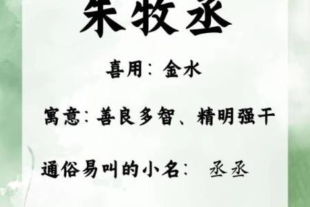 朱姓起名大全：一生好运的选择