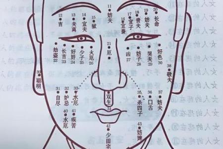 面相解码：揭秘面部五官中的财富运势