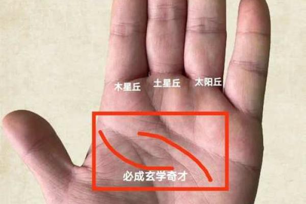 揭秘手相土星丘竖纹的秘密：多条纹竟暗示着什么惊人命运