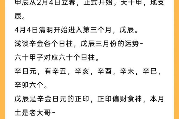 辛金的力量如何改变你的财运与生活？