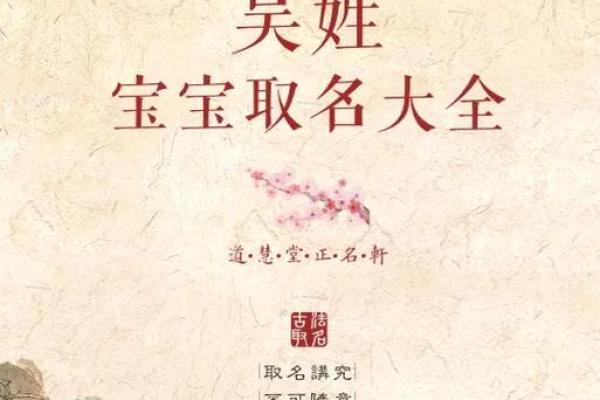 吴姓宝宝取名大全,轻松选出最合适的名字 吴姓宝宝取名大全,轻松选出最合适的名字