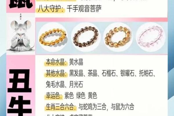 12生肖配对指南：解锁你的爱情密码