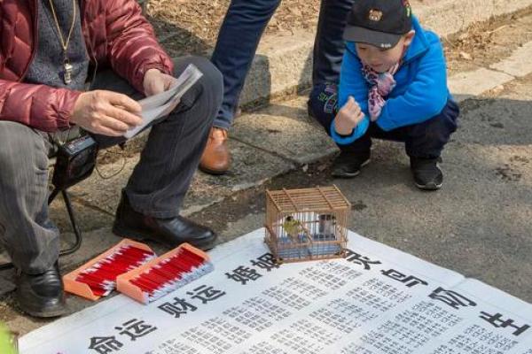 人字排盘宝：揭开命运之谜的神奇力量