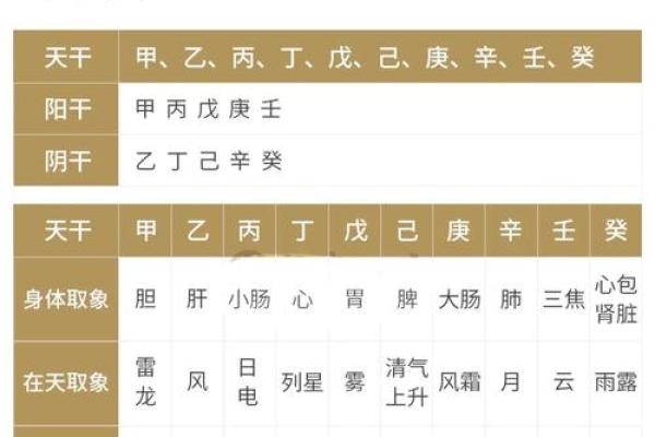 天干二德：你无法忽视的命理秘密