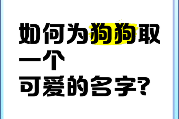如何为公狗取个既霸气又可爱的名字? 如何为公狗取个既霸气又可爱的名字?